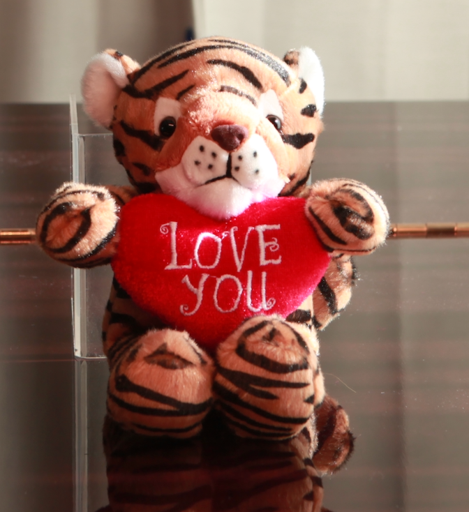 Valentine plush animal with heart 8": Koala