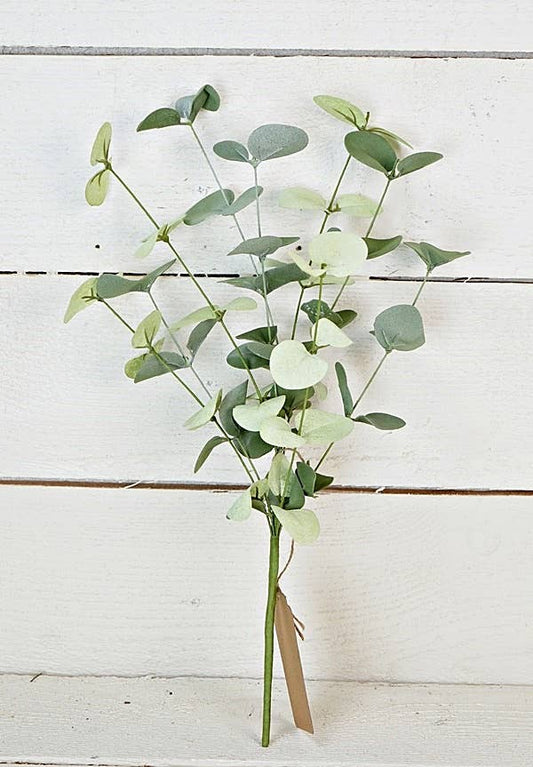 ISB72695- 16in Silver Dollar Eucalyptus Pick